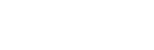 Wittacité